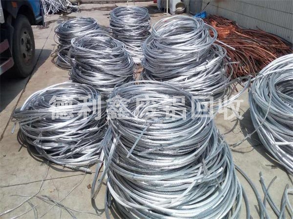 �X�����գ������X�����Ճr��